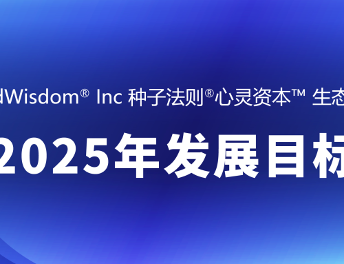 2025 年发展目标